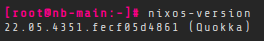 /server_nixos.png